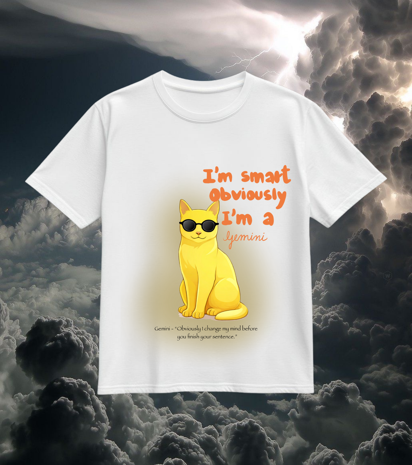 Gemini Zodiac Graphic T-Shirt – “I Change My Mind”